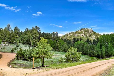 Unimproved Land in Florissant CO 717 Canyon Drive 23.jpg