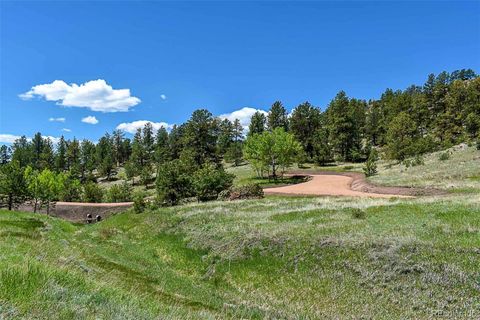 Unimproved Land in Florissant CO 717 Canyon Drive 18.jpg