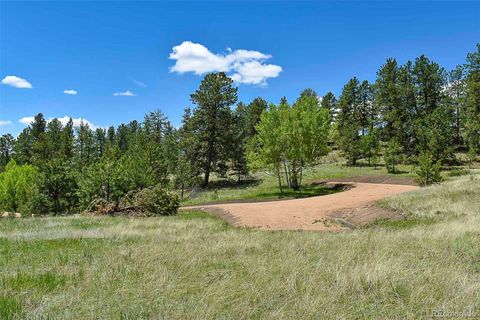 Unimproved Land in Florissant CO 717 Canyon Drive 4.jpg