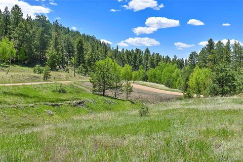 Unimproved Land in Florissant CO 717 Canyon Drive 3.jpg