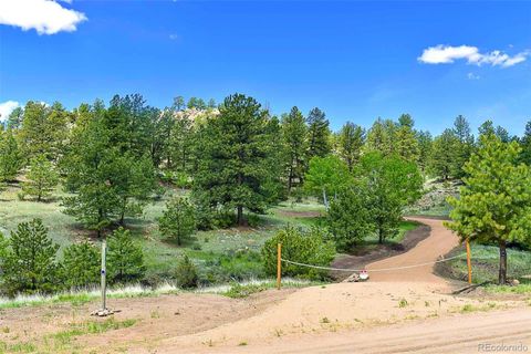 Unimproved Land in Florissant CO 717 Canyon Drive 2.jpg