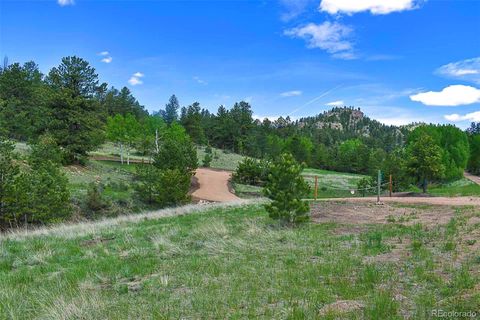 Unimproved Land in Florissant CO 717 Canyon Drive 28.jpg