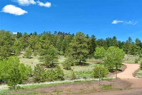 Unimproved Land in Florissant CO 717 Canyon Drive 25.jpg