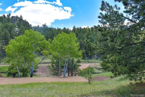 Unimproved Land in Florissant CO 717 Canyon Drive 7.jpg