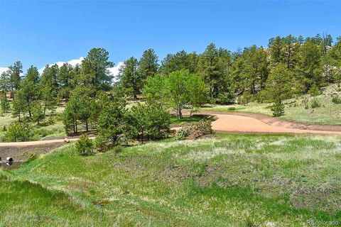 Unimproved Land in Florissant CO 717 Canyon Drive 20.jpg