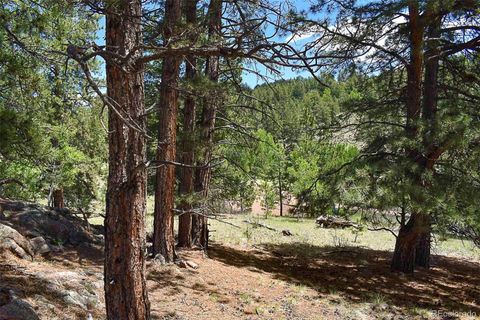 Unimproved Land in Florissant CO 717 Canyon Drive 9.jpg