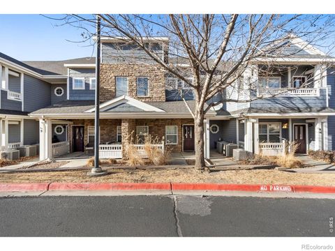 2178 Cape Hatteras Drive 6 Windsor CO 80550