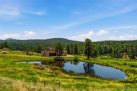 28098 Green Valley Lane Conifer CO 80433