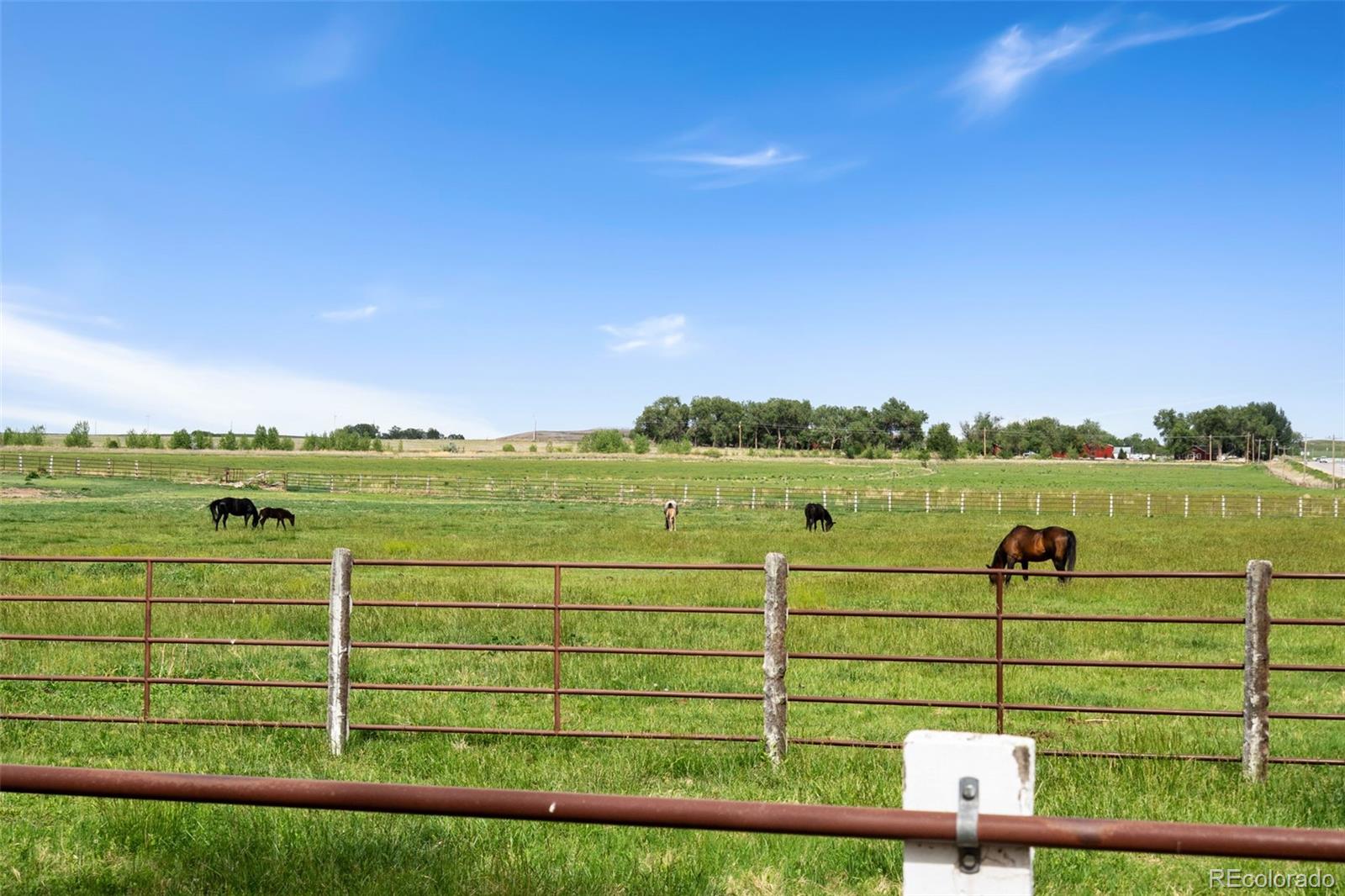 10545 Highway 14, Ault, CO, 80610, USA, ,Residential,Pending,10545 Highway 14,2066276