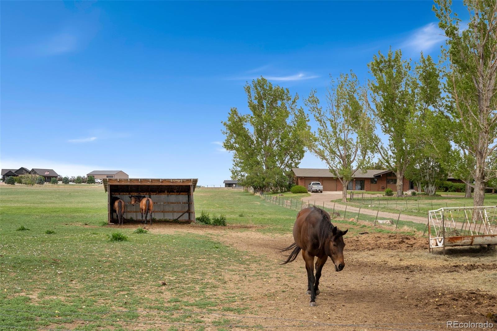 10545 Highway 14, Ault, CO, 80610, USA, ,Residential,Pending,10545 Highway 14,2066276