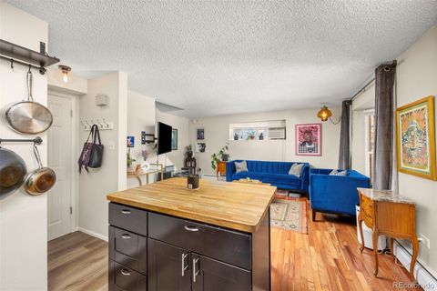 1355 Gaylord Street 4 Denver CO 80206