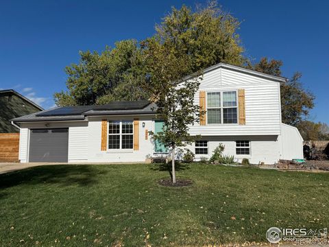 Photo of 1321 Alexandria Street, Lafayette, CO 80026 (MLS # IR1046025)