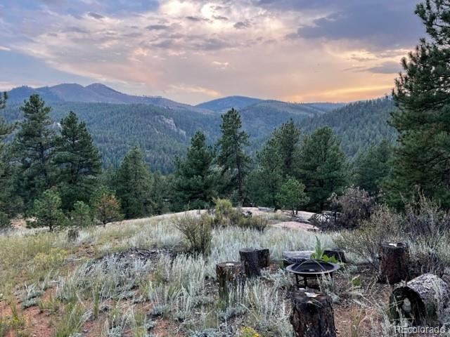 16626 Ouray Road W
