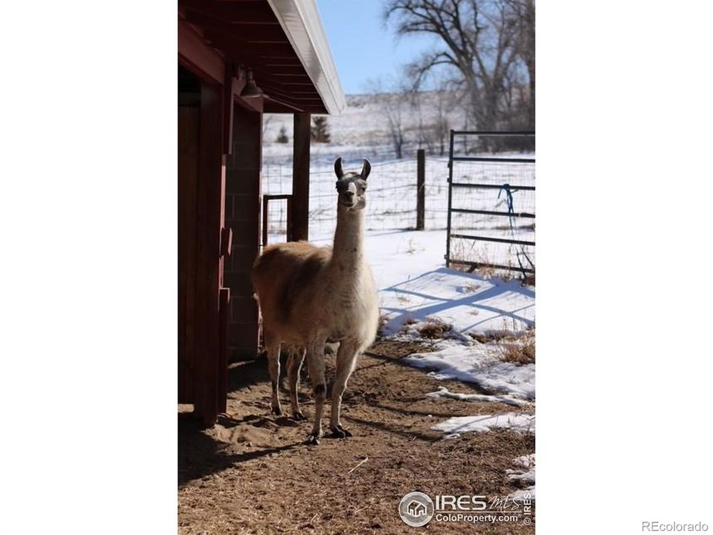 Photo of 1034 Spring Drive, Boulder, CO 80303 (MLS # IR1049364)