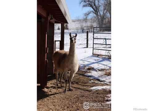 Photo of 1034 Spring Drive, Boulder, CO 80303 (MLS # IR1049364)