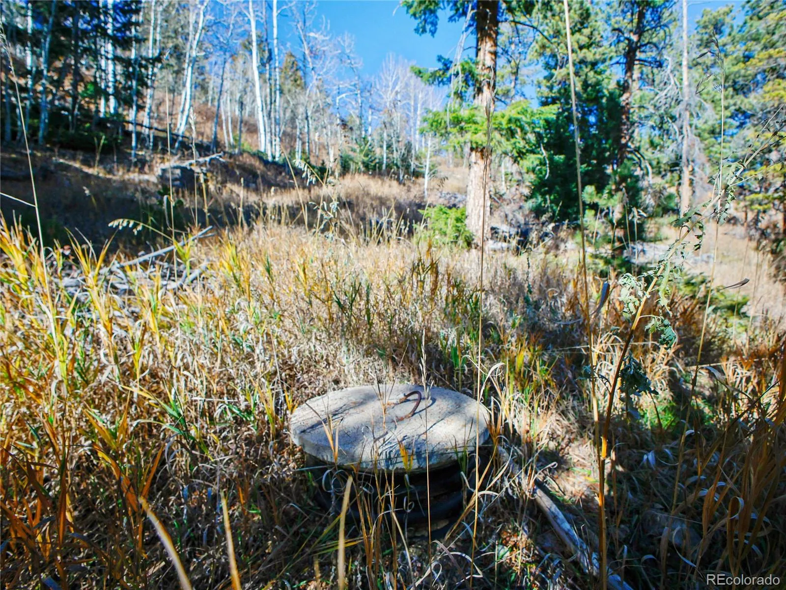 Morrison, Colorado 80465, United States, ,Land,Active,245964