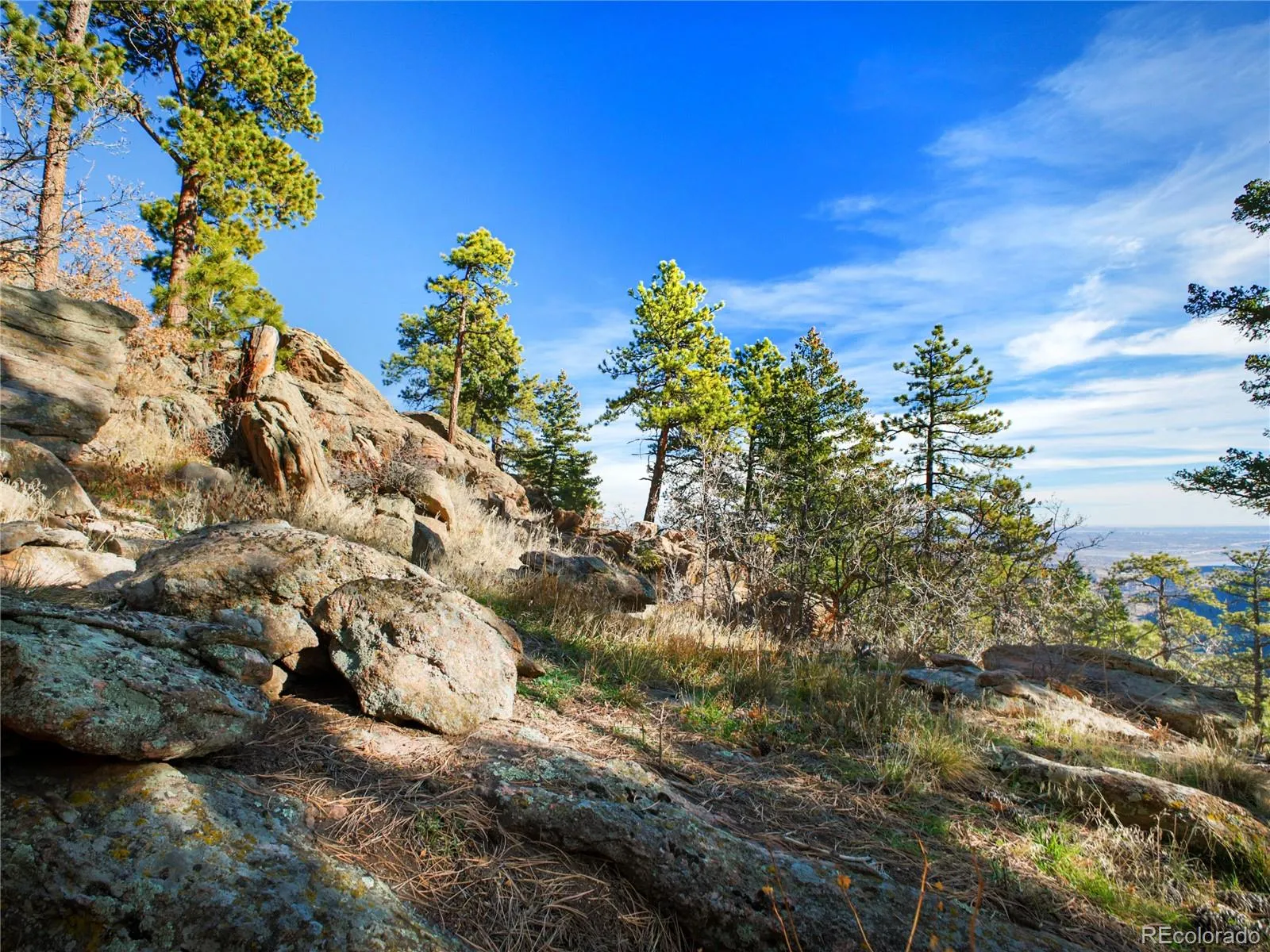 Morrison, Colorado 80465, United States, ,Land,Active,245964