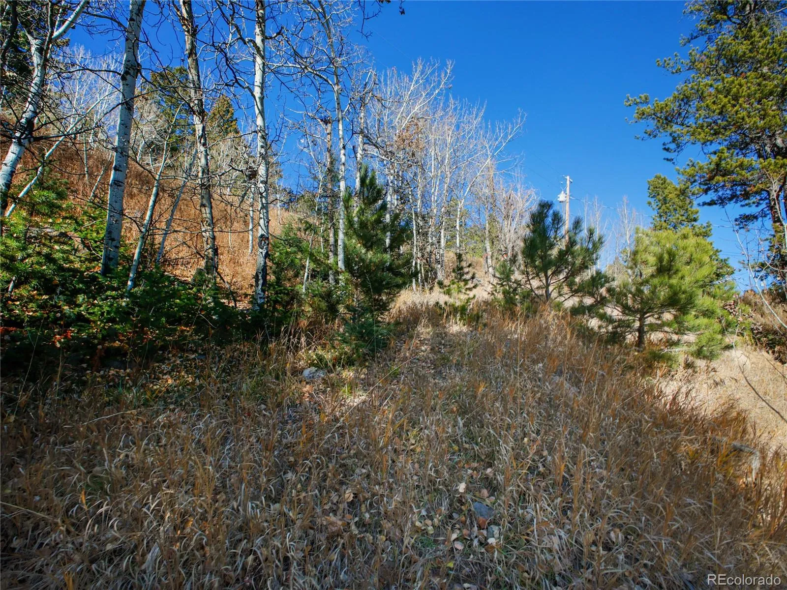 Morrison, Colorado 80465, United States, ,Land,Active,245964