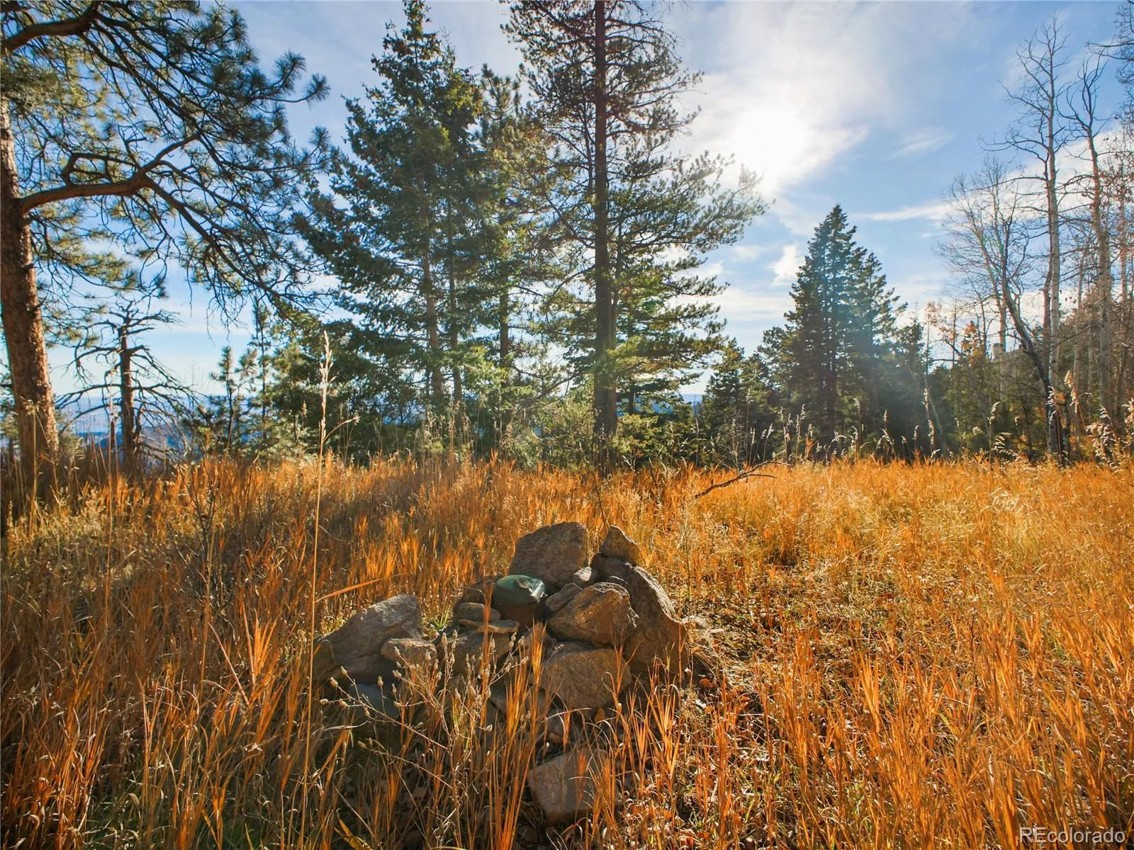 Morrison, Colorado 80465, United States, ,Land,Active,245964