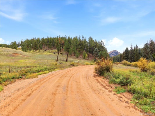8567 COUNTY RD 3, DIVIDE, CO 80814 - Image 367d888d66bfa45f3c2052799ce2f2dc/653039964