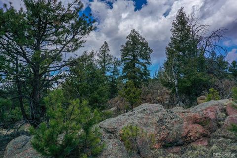 487 Pike View Lane Florissant CO 80816