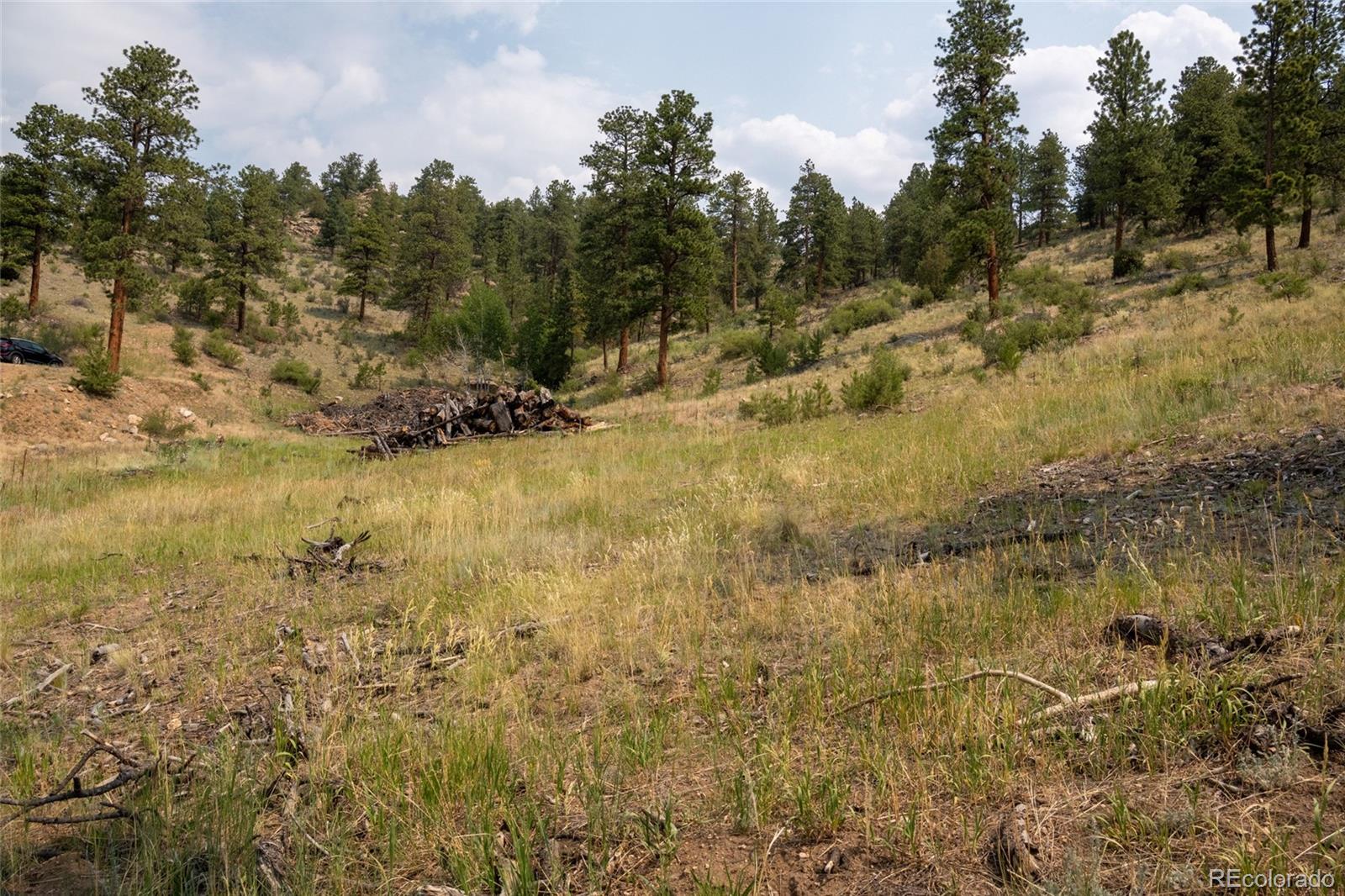 13990 Pine Valley Road