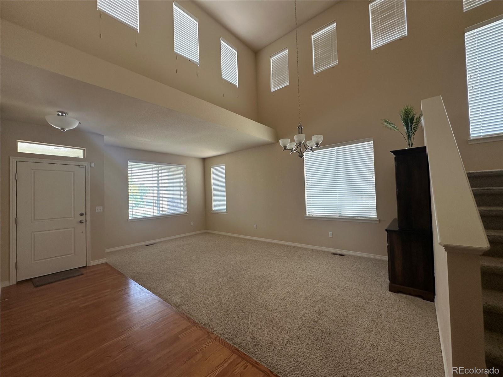 7407 Pimlico Drive
