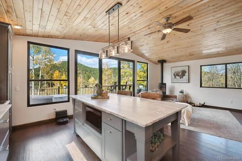 12369 Quartz Spur Conifer CO 80433