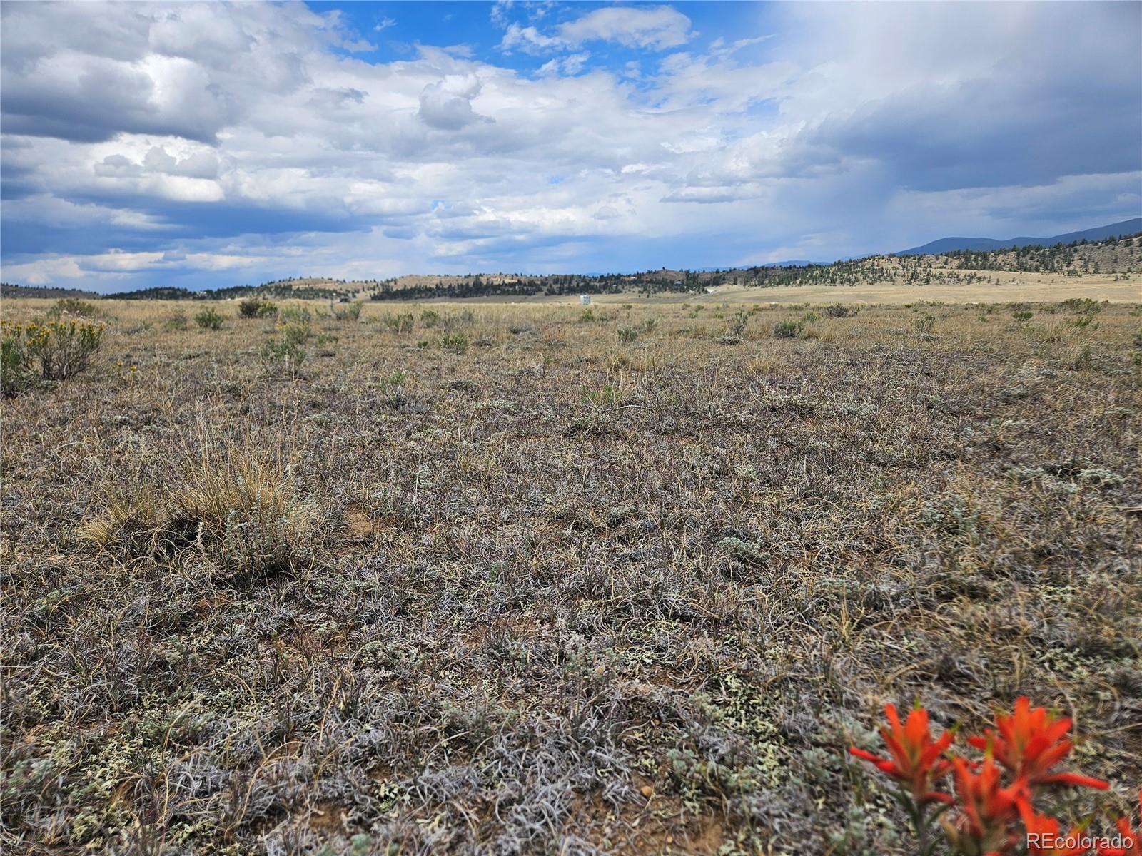 4124 Clear Creek Road