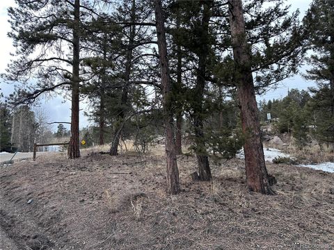 Unimproved Land in Conifer CO 27793 Fawn Drive.jpg