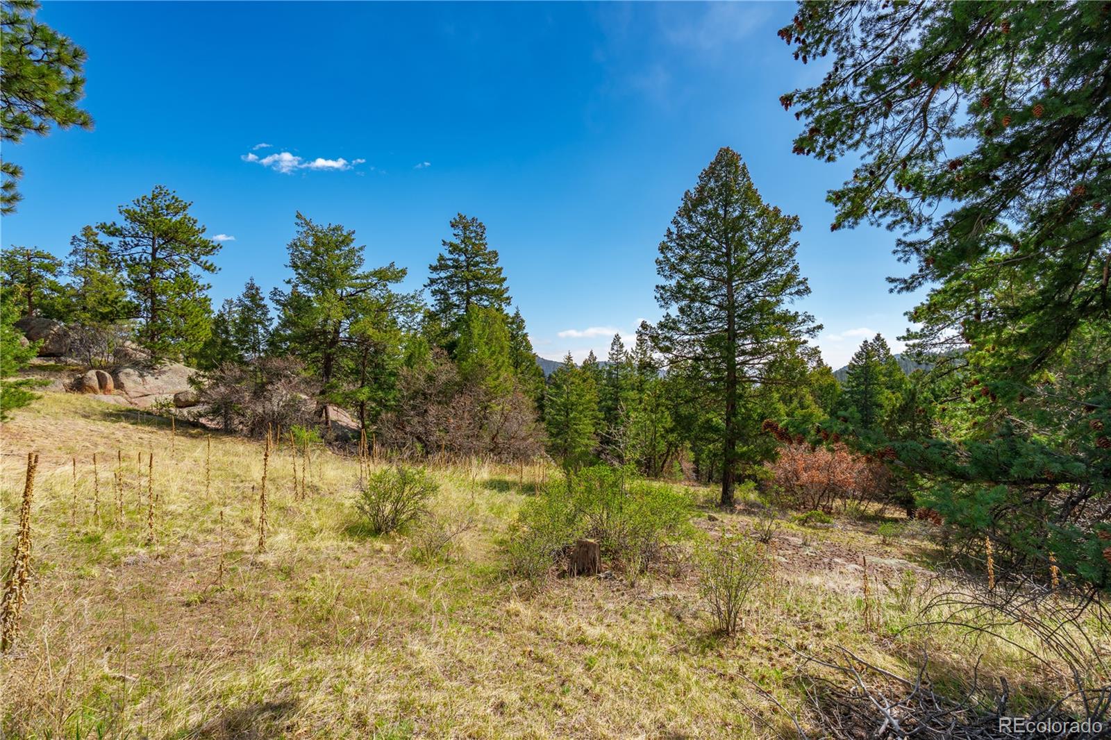 22668 Shawnee Road