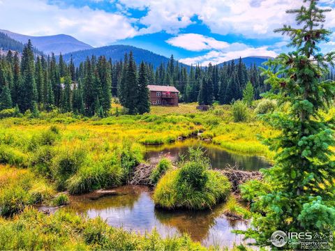 513 Rena Road Breckenridge CO 80424