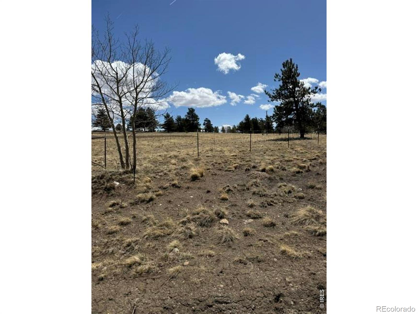 2841 Singletree Road