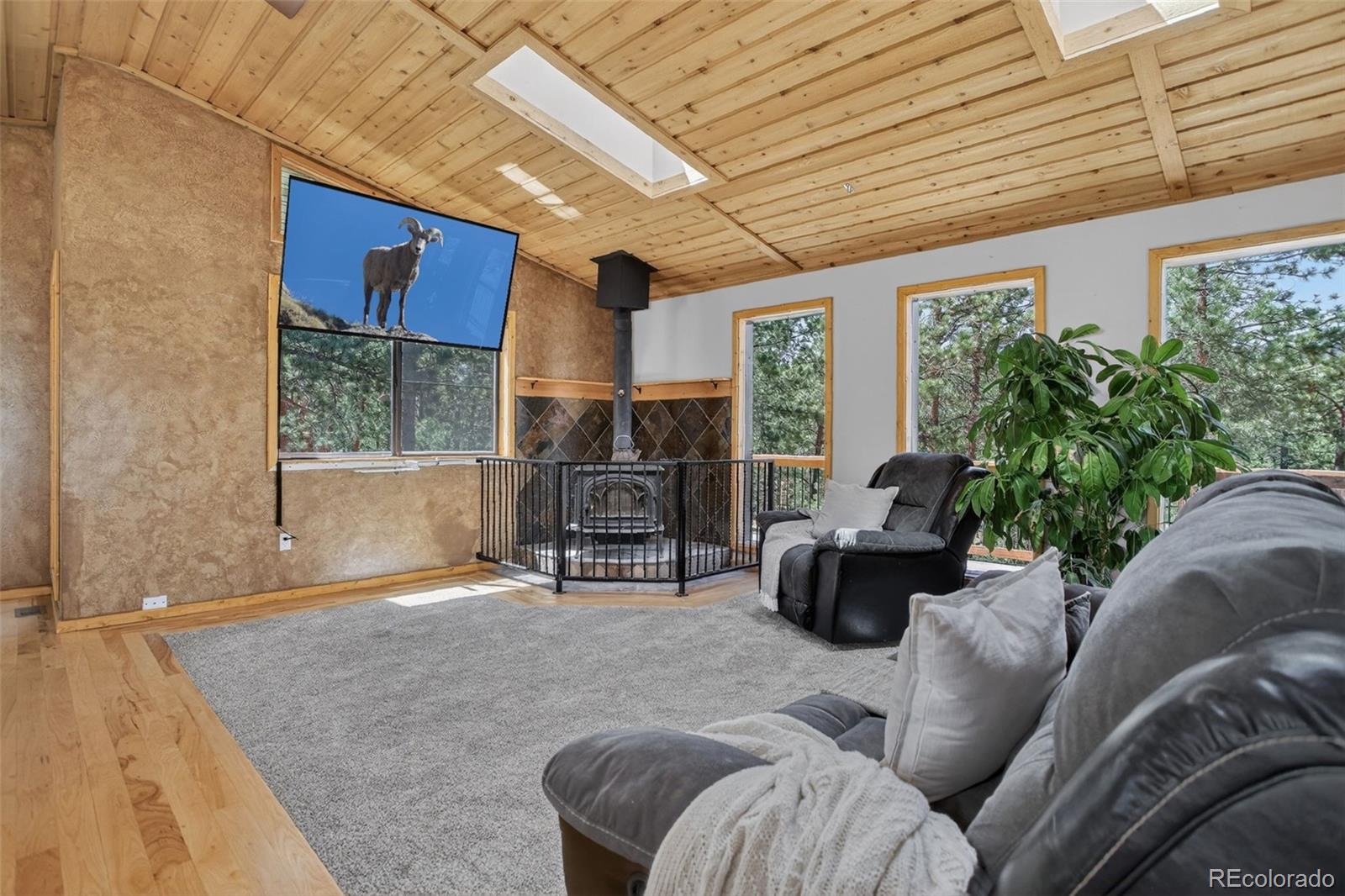 858 Forest Drive