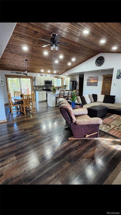 455 Cedar Drive Leadville CO 80461