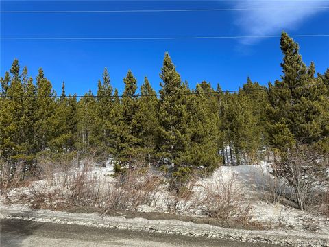 691 Alice Road Idaho Springs CO 80452
