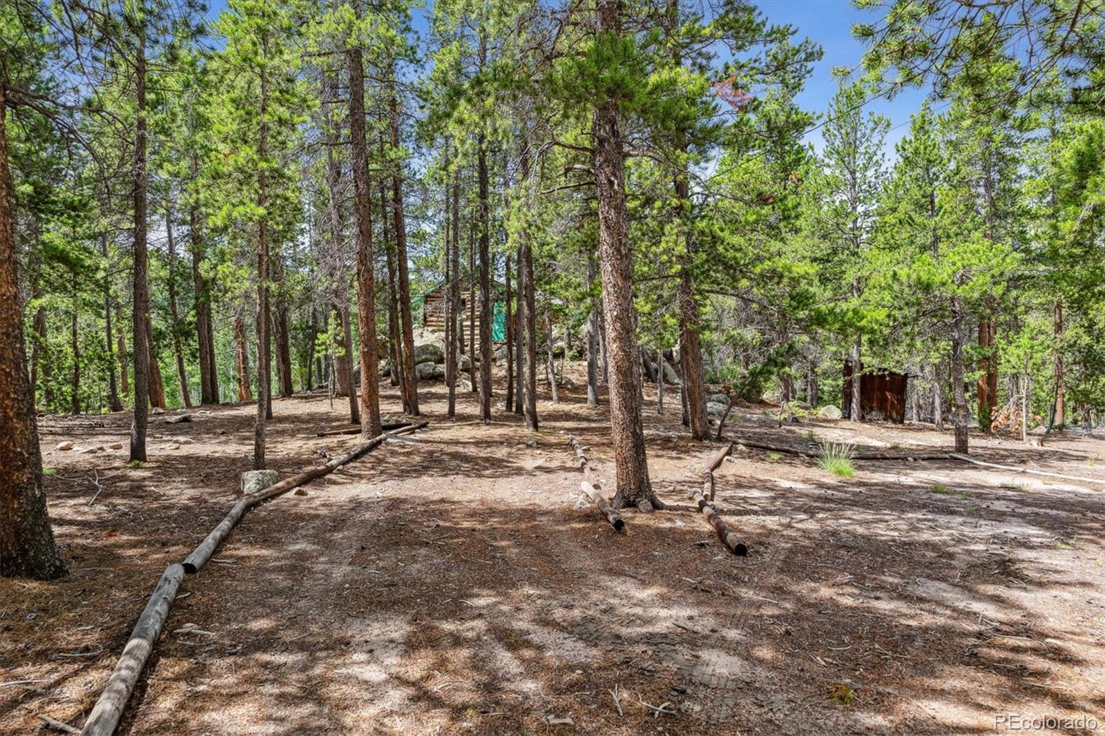 306 Olde Carter Lake Road