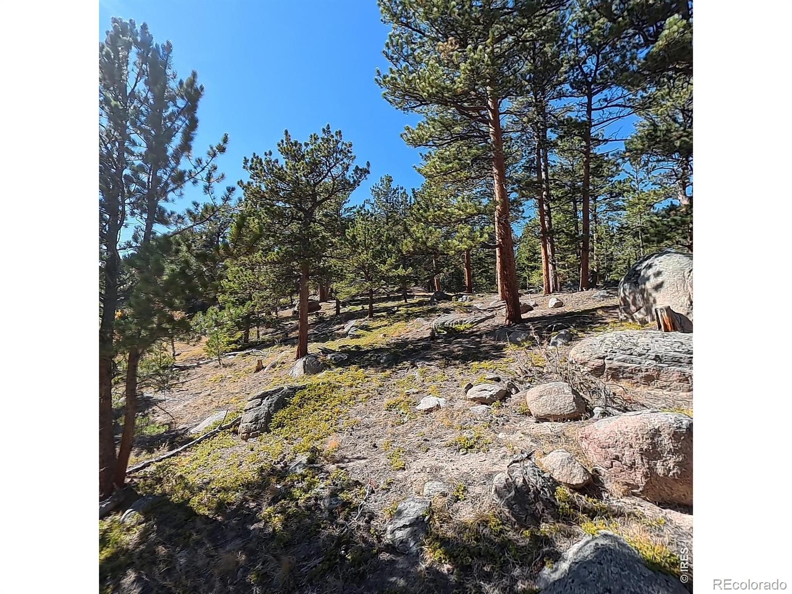 12680 Highway 7