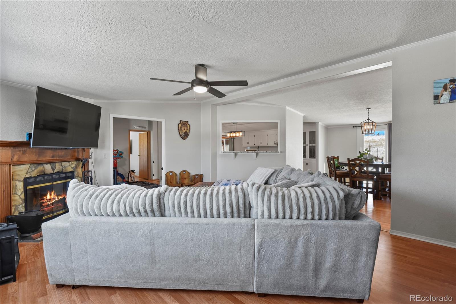 12557 N Ellicott Highway