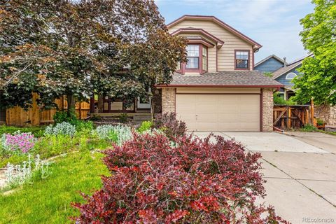 473 Somerset Drive Golden CO 80401