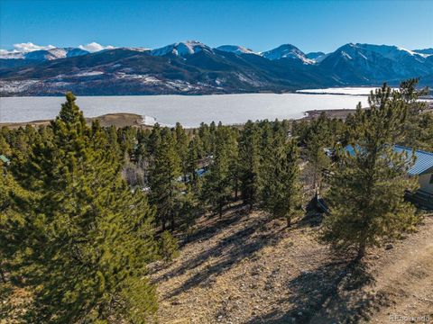 123 La Plata Peak Drive Twin Lakes CO 81251