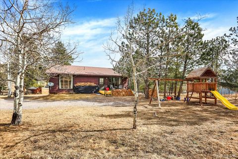 Photo of 249 Burland Drive, Bailey, CO 80421 (MLS # 5960779)