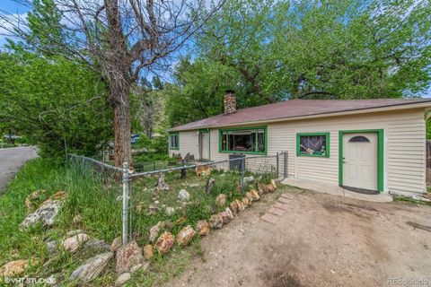 3384 Avenue F Kittredge CO 80457