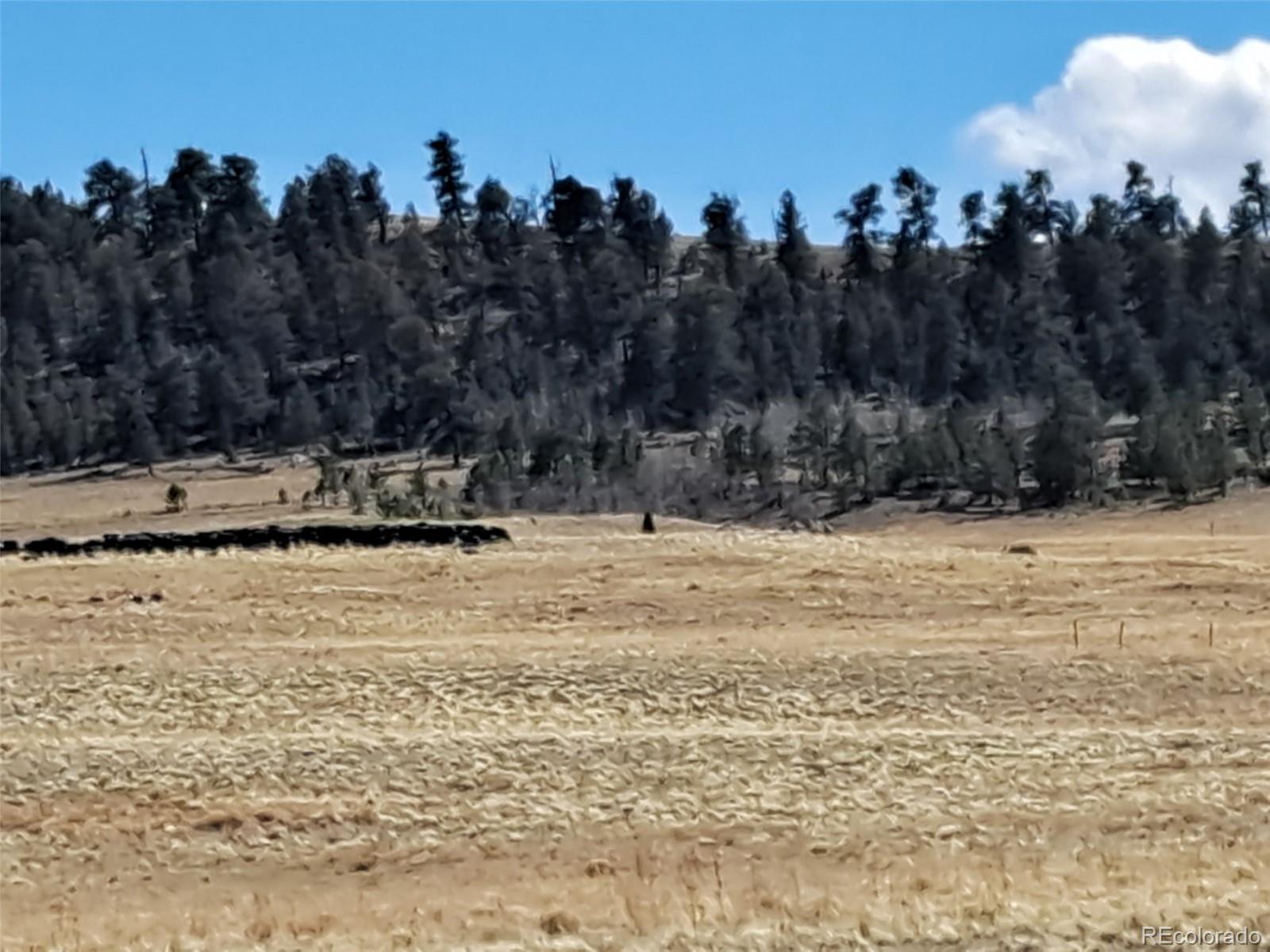 00 Cochiti Road
