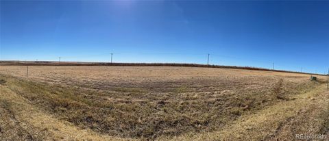 49920 Antelope Drive E Bennett CO 80102