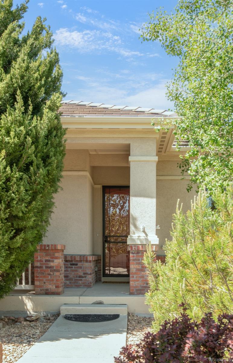4519 Silver Mountain Loop