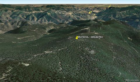 123 Lamartine Road Idaho Springs CO 80452