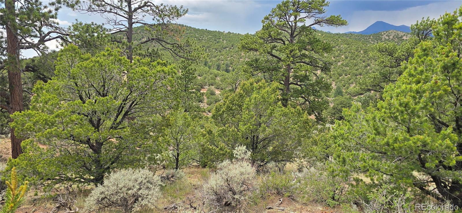 Lot 4401 Melcarth Road