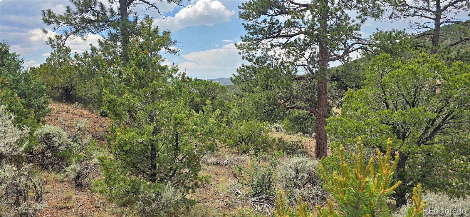 Lot 4401 Melcarth Road