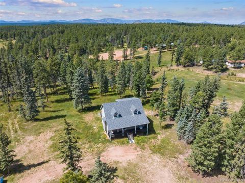 4027 County Road 5, Divide, CO 80814 - #: 6022257